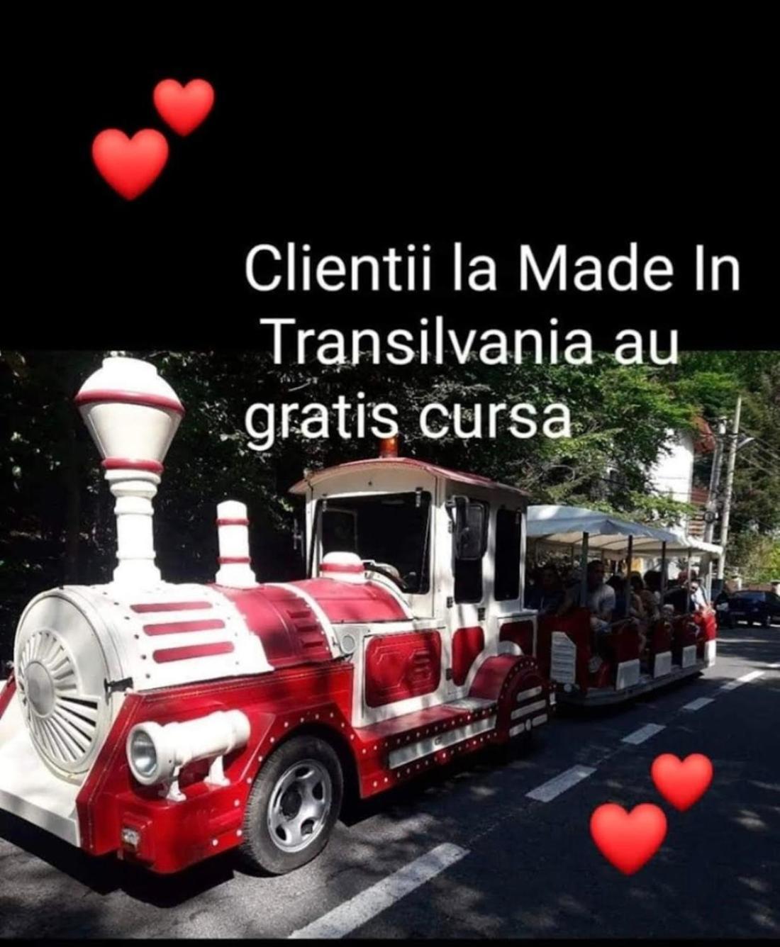 Made In Transilvania 시기쇼아라 외부 사진